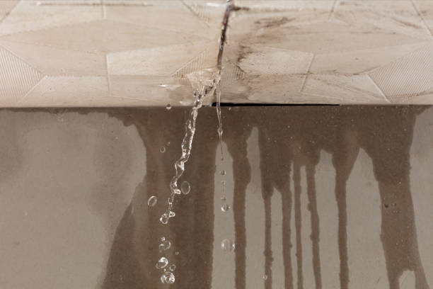 Professional Water Damage Repair technician working in Lowell, WI